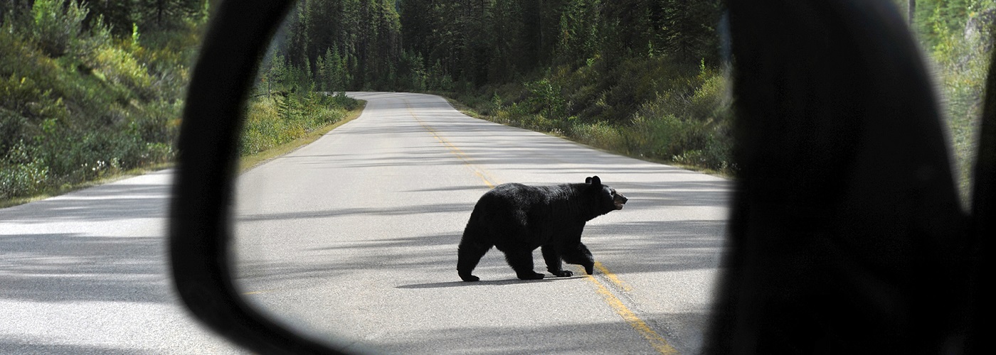 Deutsche Leasing Canada Deutsche Leasing Canada